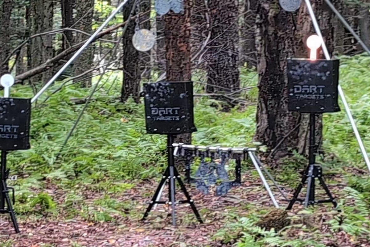 A DART target lit white among three reactive targets set up on a forest lane